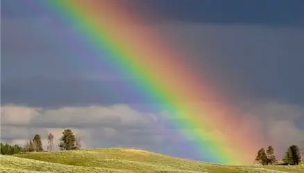 Building the rainbow Bridge of Peace